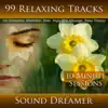 99 Relaxing Tracks (10 Minute Sessions) For Relaxation, Meditation, Reiki, Yoga, Spa, Massage and Sleep Therapy album lyrics, reviews, download
