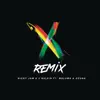 X (feat. Maluma & Ozuna) [Remix] song lyrics