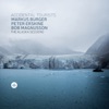 The Alaska Sessions (feat. Markus Burger, Peter Erskine & Bob Magnusson)