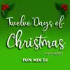 Twelve Days of Christmas (Instrumental) - Single album lyrics, reviews, download
