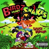 Birdz Hunt Snakes artwork