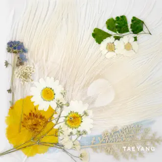 WHITE NIGHT by TAEYANG song reviws