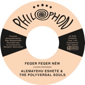 The Polyversal Souls - Feqer Feqer Nèw (feat. Alemayehu Eshete)