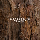 Root to Branch, Vol. 7 - EP artwork