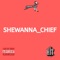 Fly (feat. Rside Hank & Nvrd) - Shewanna_chief lyrics