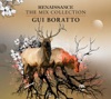 Gui Boratto - Renaissance - The Mix Collection: Gui Boratto (Continuous DJ Mix 2)