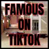 Famous on Tiktok (Single) album lyrics, reviews, download