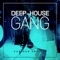 Piano Game (Household Funk & Apollo Remix) - Pavel Svetlove lyrics