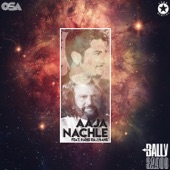 Aaja Nachle (feat. Hans Raj Hans) artwork