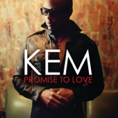 Promise To Love artwork