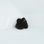 Chelsea Wolfe - Vex