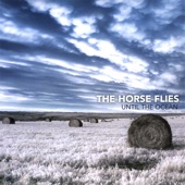 The Horse Flies - Veins of Coal