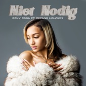 Niet Nodig (feat. Defano Holwijn) artwork