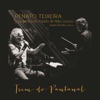 Trem do Pantanal - Single