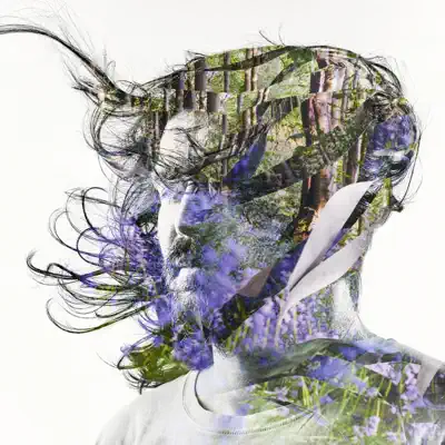 Ribbons - Bibio