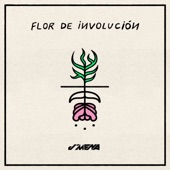 Flor de Involución artwork