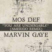 You Are Undeniable (Amerigo Remix) artwork