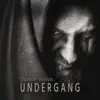 Undergang - Single album lyrics, reviews, download
