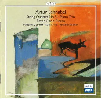 Schnabel: String Quartet No. 5, String Trio & 7 Piano Pieces by Benedikt Koehlen, Pellegrini Quartet & Ravinia Trio album reviews, ratings, credits