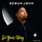 See Your Glory - Segun John lyrics