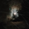 Tu amor - Single
