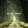 In the Forest (Acoustic Indie No Copyright) [Instrumental] - Single