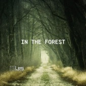 Lesfm - In The Forest (Acoustic Indie No Copyright) - Instrumental