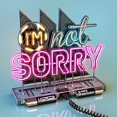 I'm Not Sorry artwork