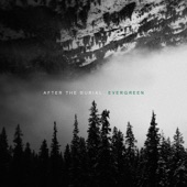 After the Burial - To Challenge Existence