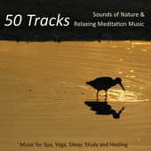 50 Tracks - Sounds of Nature & Relaxing Meditation Music for Spa, Yoga, Sleep, Study and Healing - Nature Sound Series