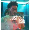Just Cuz I Can... album lyrics, reviews, download