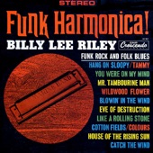 Billy Lee Riley - House of the Rising Sun