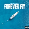 NojokeJigsaw - Forever Fly