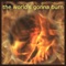 the world's gonna burn - Joshua Sanford lyrics