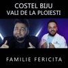 Familie Fericita - Single