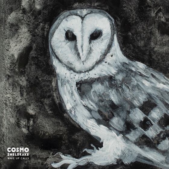 Cover artwork for Cuckoo Song