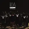 BOA - Single album lyrics, reviews, download