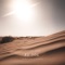El Sol - Picture Talk lyrics