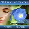 99 Relaxing Tracks (20 Minute Sessions) For Relaxation, Meditation, Reiki, Yoga, Spa, Massage and Sleep Therapy album lyrics, reviews, download