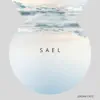 Sael - Single album lyrics, reviews, download