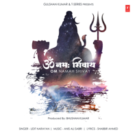 Udit Narayan - Om Namah Shivay - Single artwork