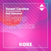 Sweet Caroline : Originally Performed By Neil Diamond (Karaoke Verison) artwork