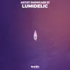 Follow the Sun (Lumidelic Remix) song lyrics