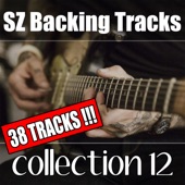 SAD Guitar Ballad Backing Track in a minor  SZBT vol12 artwork