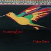 Hummingbird (Jesse Klein Remix) - Single album lyrics, reviews, download