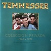 Colección Privada 1960 - 1990 (30 Años de Éxitos en Español), 1995