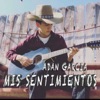 Mis Sentimientos - Single