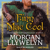 Morgan Llywelyn - Finn Mac Cool artwork