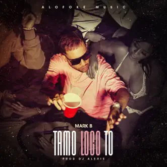 Tamo Loco To by Mark B. song reviws