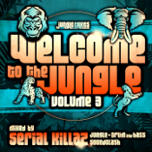 Welcome to the Jungle, Vol. 3: The Ultimate Jungle Cakes Drum & Bass Compilation - Various Artists